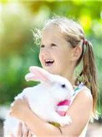 Lapin 01