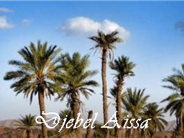 Djebel Aissa
