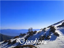 Djurdjura