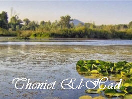 Theniet El-Had