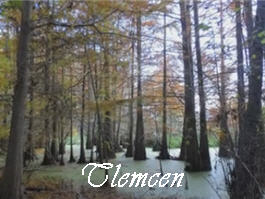 Tlemcen